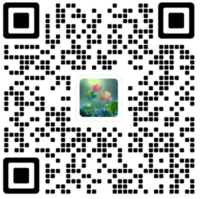 Journal of Shanghai Jiaotong University(Science)杂志模板